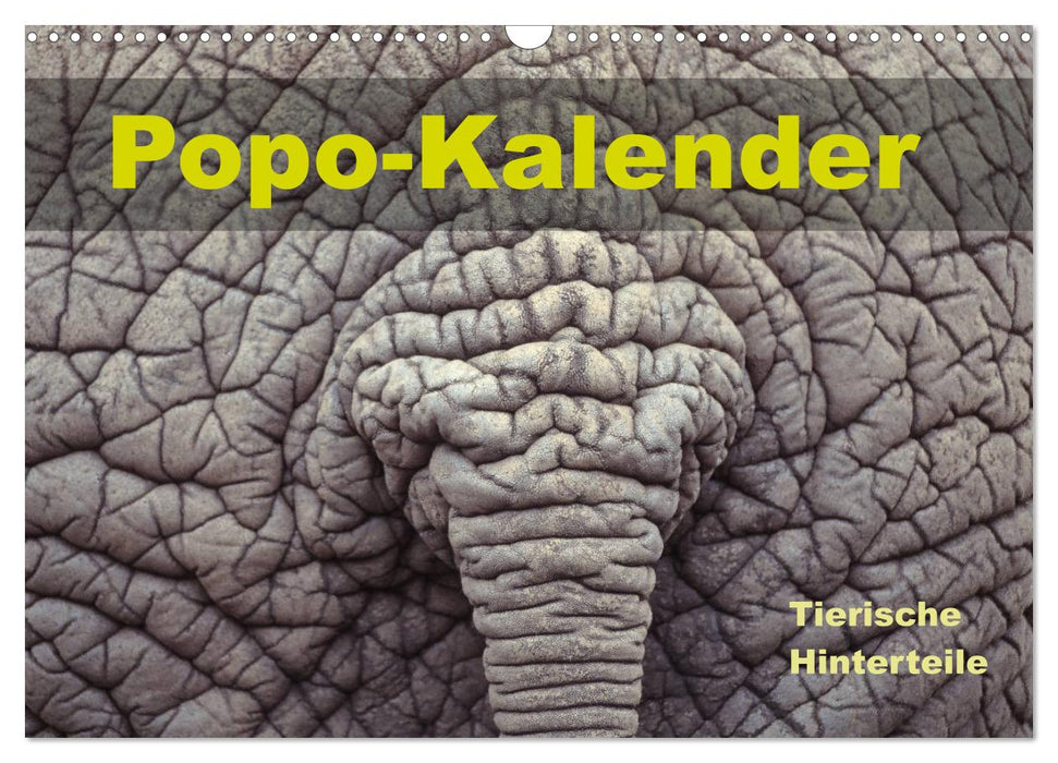 Popo-Kalender (CALVENDO Wandkalender 2026)