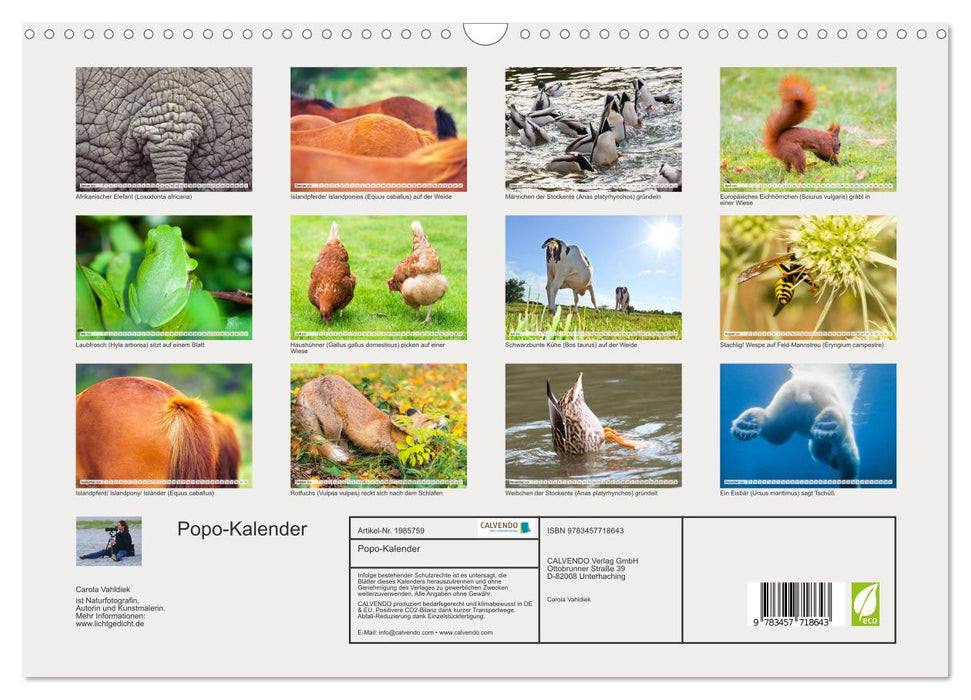 Popo-Kalender (CALVENDO Wandkalender 2026)