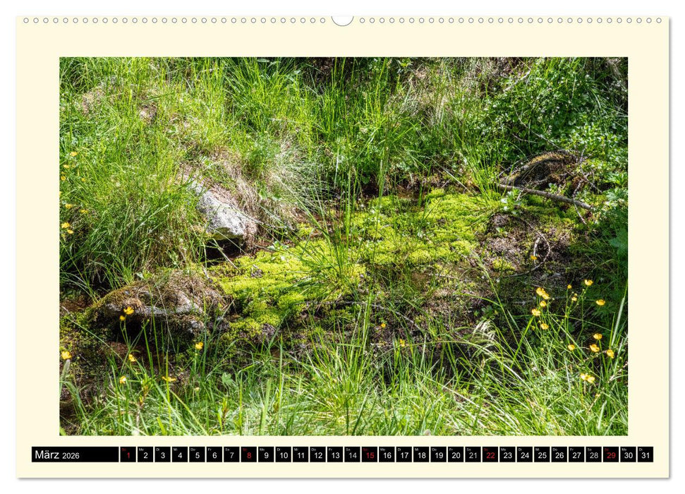 SÜDTIROL-Schnalstal (CALVENDO Premium Wandkalender 2026)