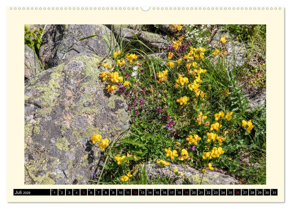 SÜDTIROL-Schnalstal (CALVENDO Premium Wandkalender 2026)