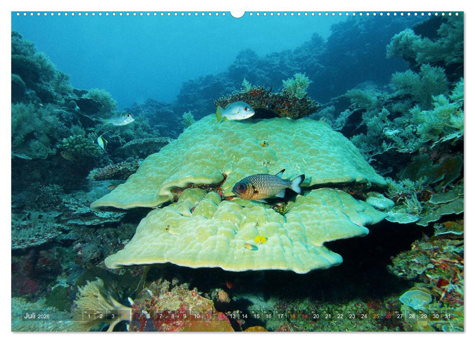 Mikronesien: Yap und Palau (CALVENDO Premium Wandkalender 2026)