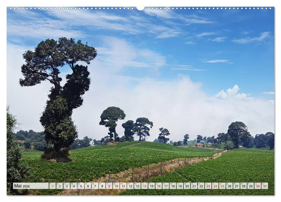 Costa Rica - Lebensfreude pur (CALVENDO Premium Wandkalender 2026)