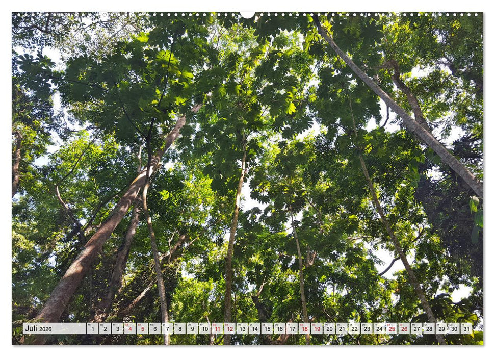 Costa Rica - Lebensfreude pur (CALVENDO Premium Wandkalender 2026)