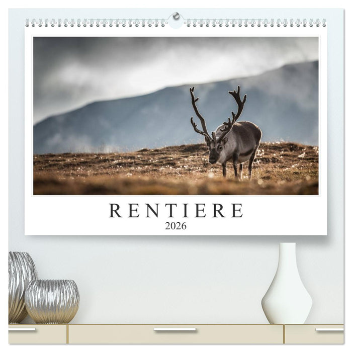Rentiere (CALVENDO Premium Wandkalender 2026)
