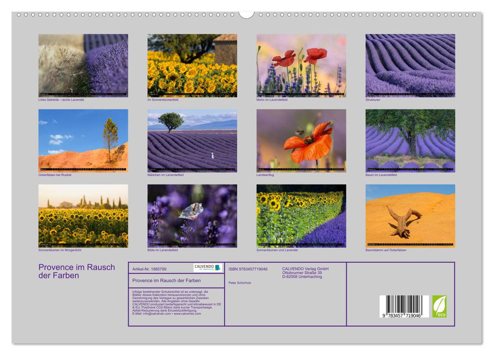 Provence im Rausch der Farben (CALVENDO Premium Wandkalender 2026)
