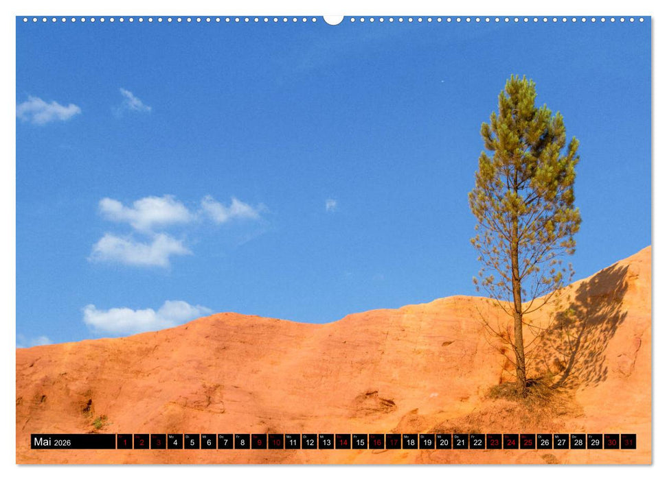Provence im Rausch der Farben (CALVENDO Premium Wandkalender 2026)
