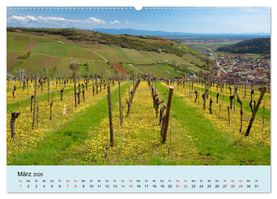 Elsass- und Vogesenträume (CALVENDO Premium Wandkalender 2026)