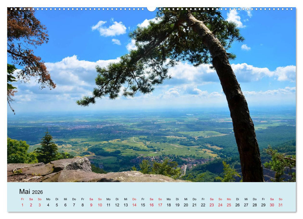 Elsass- und Vogesenträume (CALVENDO Premium Wandkalender 2026)