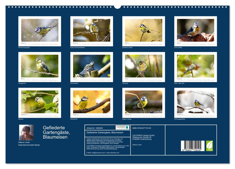 Gefiederte Gartengäste, Blaumeisen (CALVENDO Premium Wandkalender 2026)
