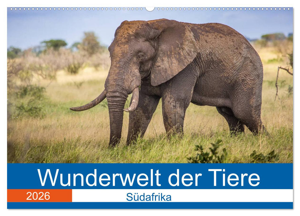 Wunderwelt der Tiere - Südafrika (CALVENDO Wandkalender 2026)