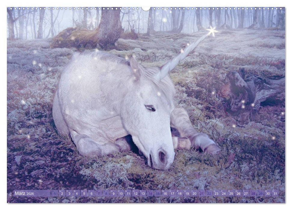 Einhorn Love - Fantasiewelt (CALVENDO Premium Wandkalender 2026)