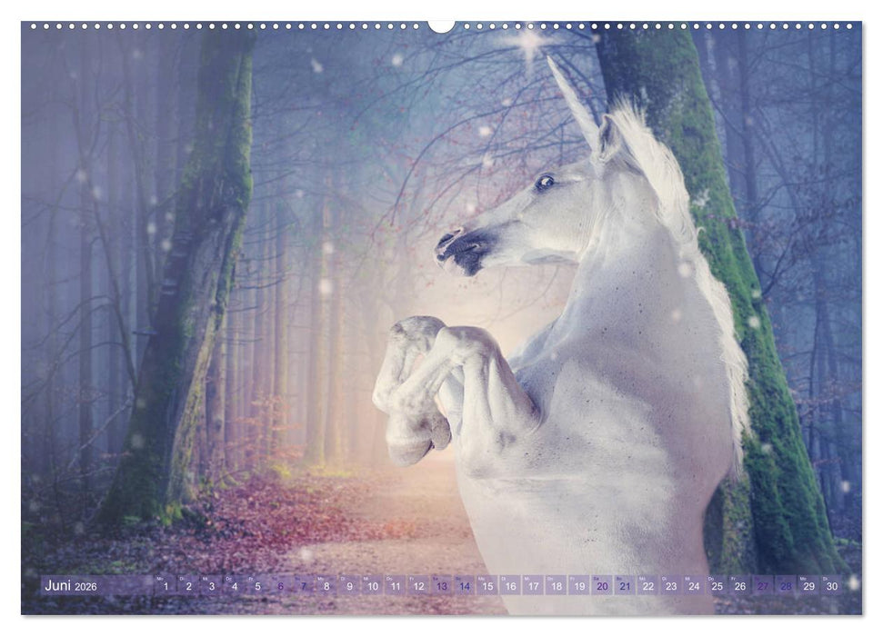 Einhorn Love - Fantasiewelt (CALVENDO Premium Wandkalender 2026)