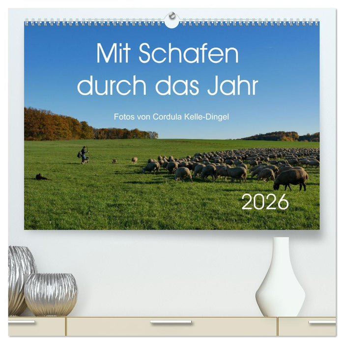Mit Schafen durch das Jahr (CALVENDO Premium Wandkalender 2026)