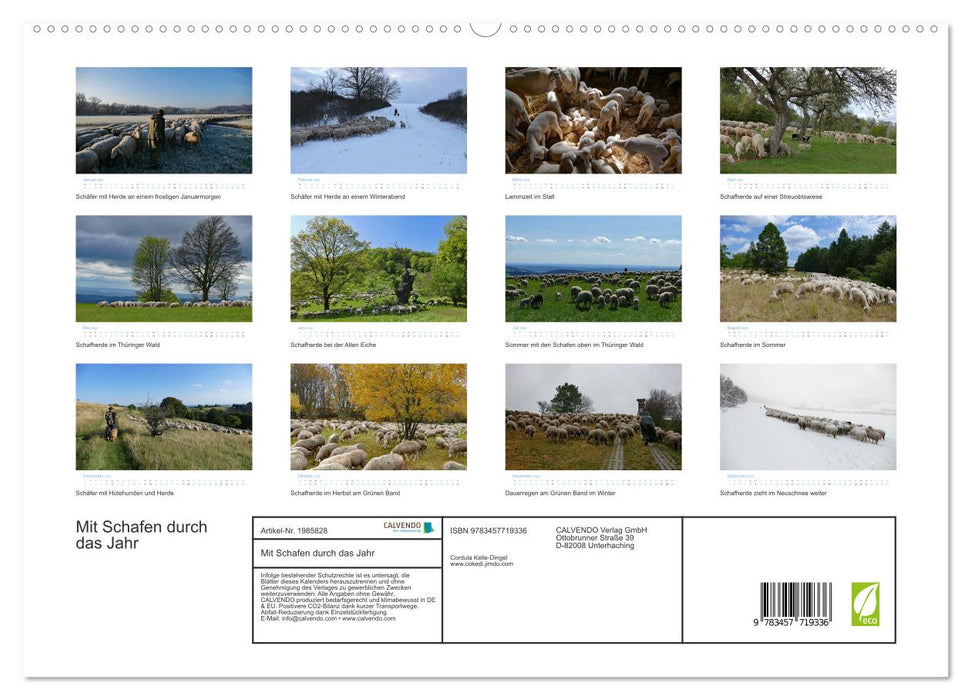 Mit Schafen durch das Jahr (CALVENDO Premium Wandkalender 2026)