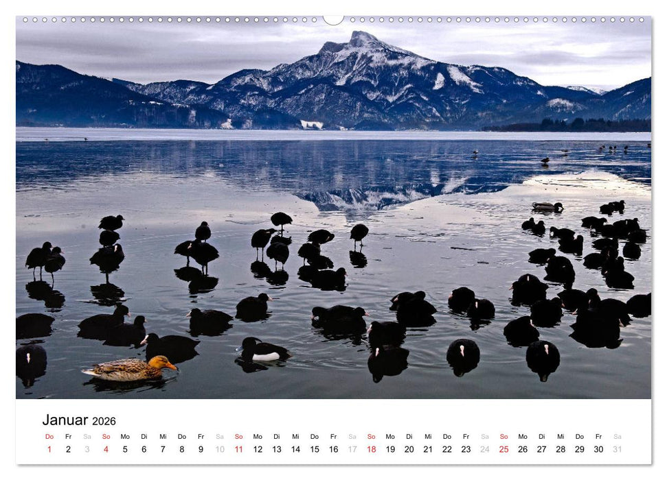 Zauberhaftes Mondseeland (CALVENDO Premium Wandkalender 2026)