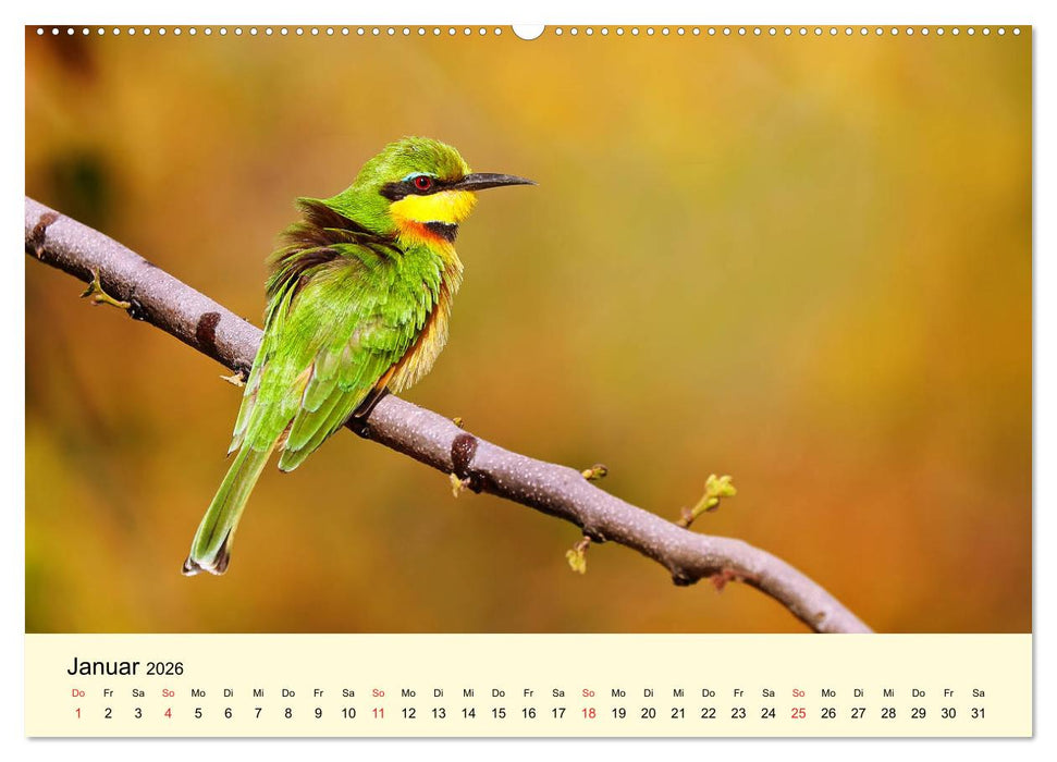 Traumhaftes Malawi (CALVENDO Premium Wandkalender 2026)