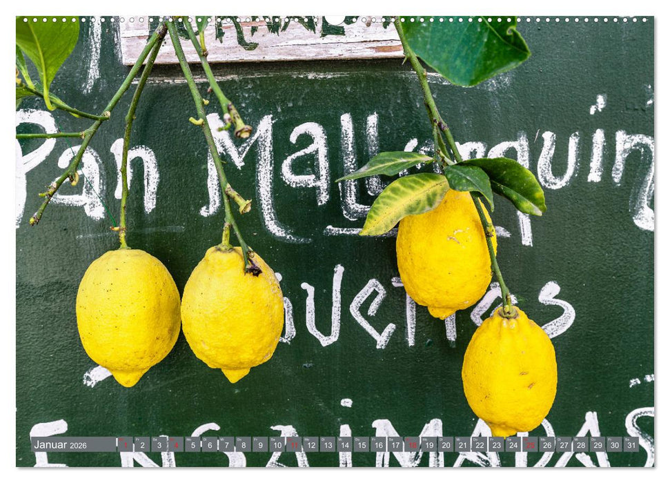 Mallorca - Mallorquinische Impressionen (CALVENDO Premium Wandkalender 2026)