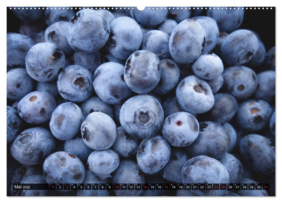 Superfood Blaubeere. Ich esse gerne Heidelbeeren! (CALVENDO Premium Wandkalender 2026)