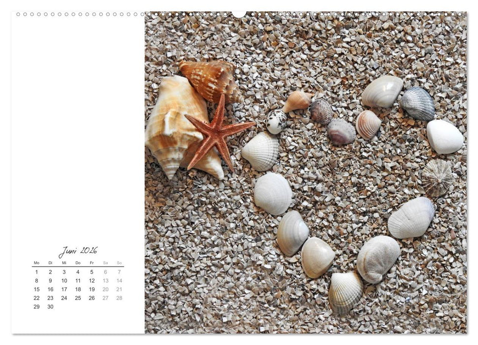 Ein Kalender voll Liebe (CALVENDO Wandkalender 2026)