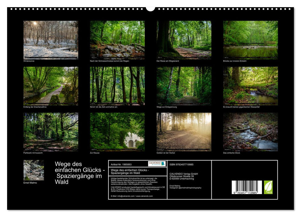 Wege des einfachen Glücks - Spaziergänge im Wald (CALVENDO Premium Wandkalender 2026)