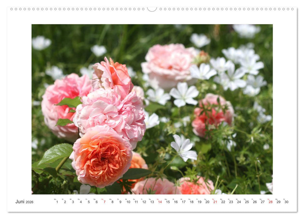 Rosenlust (CALVENDO Premium Wandkalender 2026)