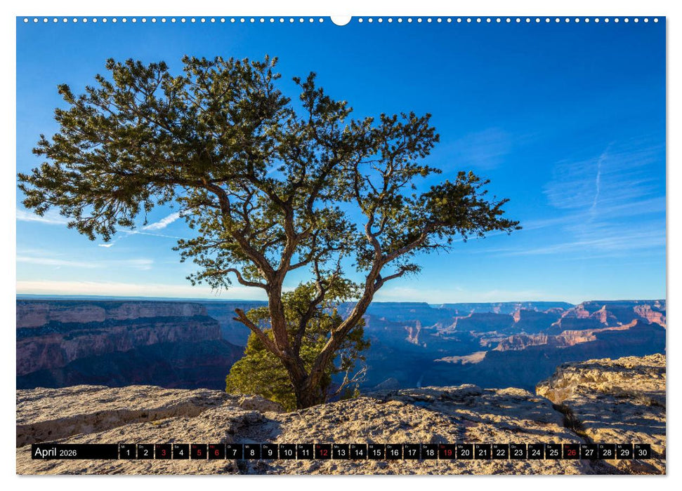 GRAND CANYON - Einblicke (CALVENDO Premium Wandkalender 2026)