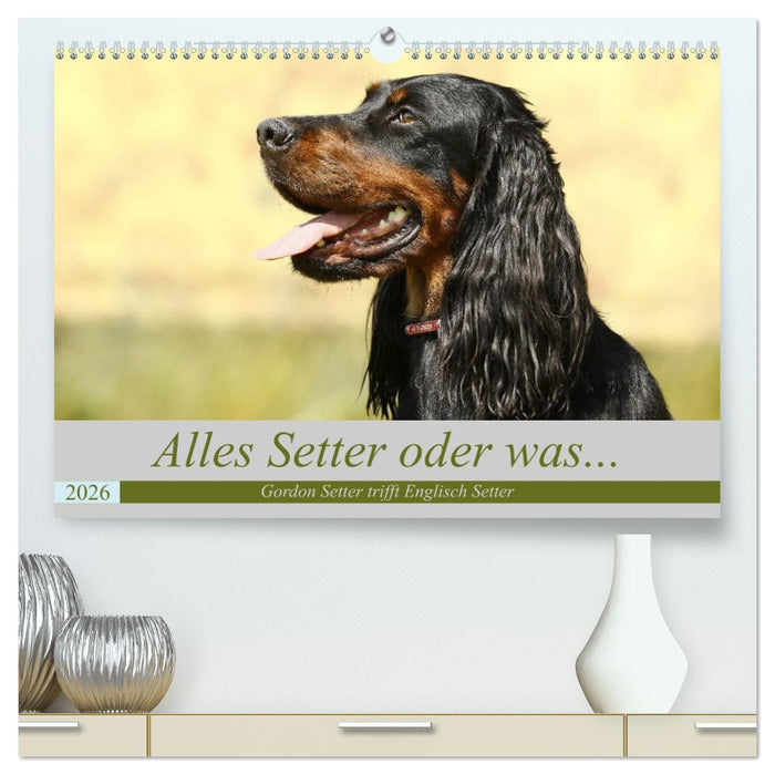 Alles Setter oder was (CALVENDO Premium Wandkalender 2026)