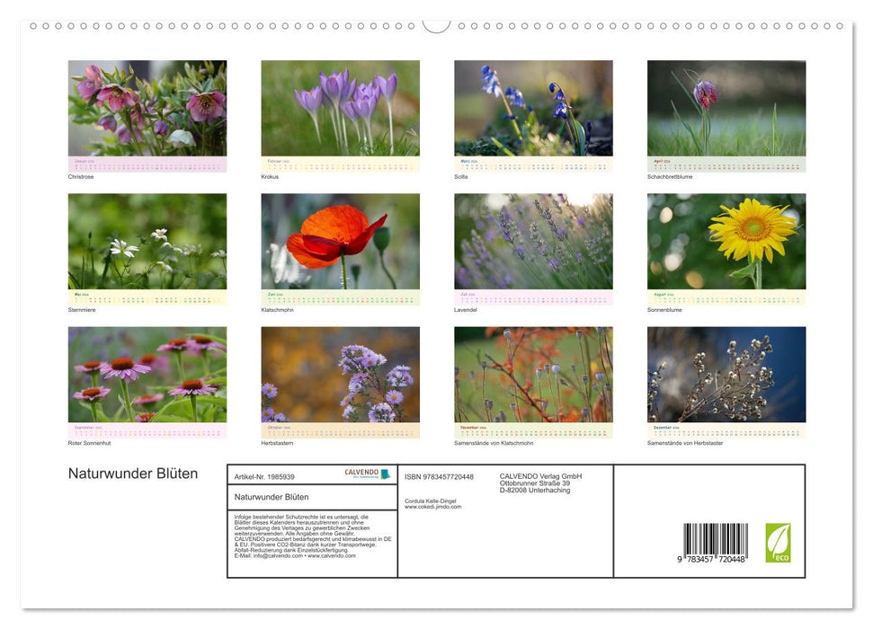 Naturwunder Blüten (CALVENDO Premium Wandkalender 2026)