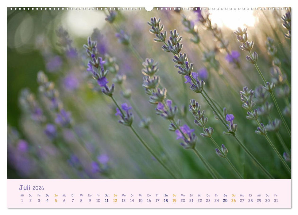 Naturwunder Blüten (CALVENDO Premium Wandkalender 2026)
