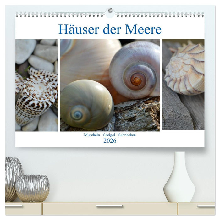 Häuser der Meere: Muscheln - Seeigel - Schnecken (CALVENDO Premium Wandkalender 2026)