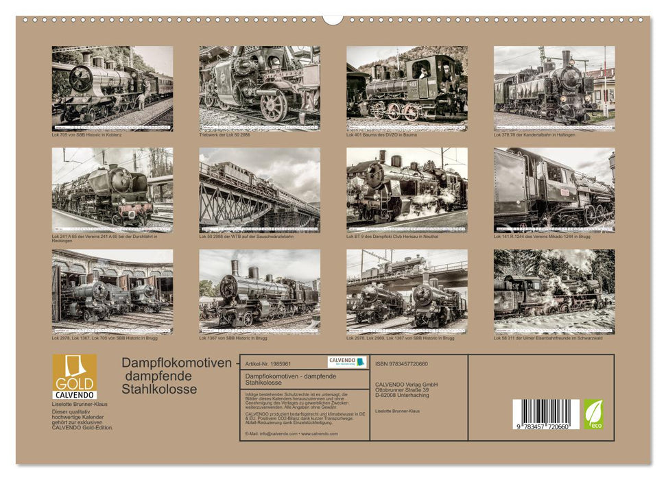 Dampflokomotiven - dampfende Stahlkolosse (CALVENDO Premium Wandkalender 2026)