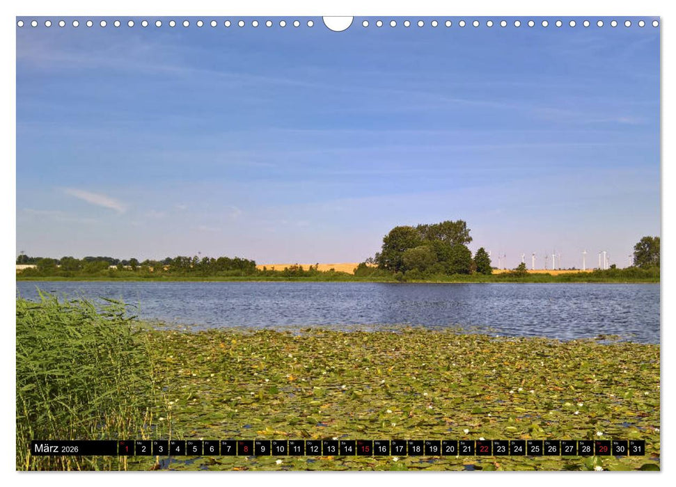 Bützow - Zwischen Bützower See und Warnow (CALVENDO Wandkalender 2026)