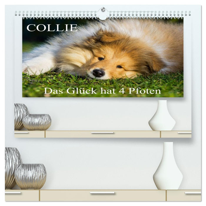 Collie - Das Glück hat 4 Pfoten (CALVENDO Premium Wandkalender 2026)