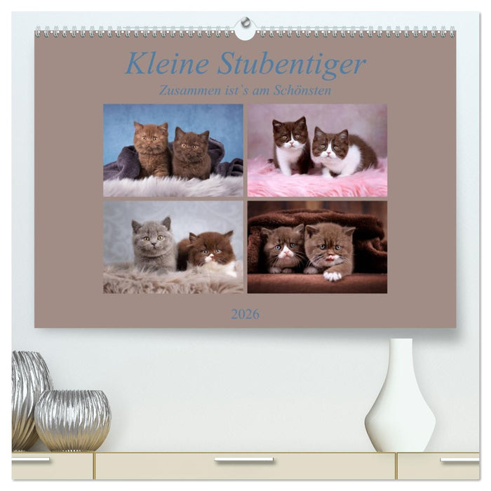 Kleine Stubenstiger (CALVENDO Premium Wandkalender 2026)