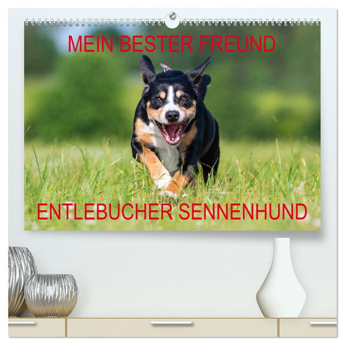 Mein bester Freund - Entlebucher Sennenhund (CALVENDO Premium Wandkalender 2026)