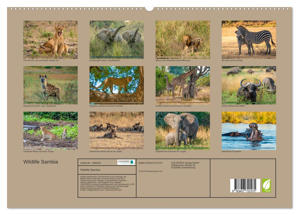 Wildlife Sambia (CALVENDO Premium Wandkalender 2026)