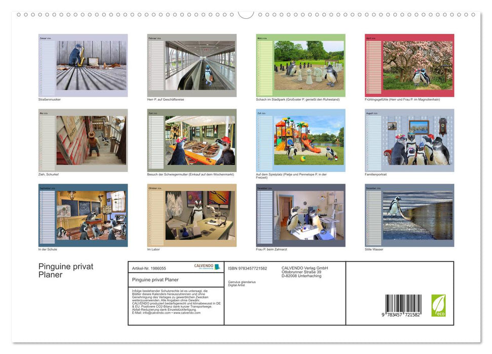 Pinguine privat Planer (CALVENDO Premium Wandkalender 2026)