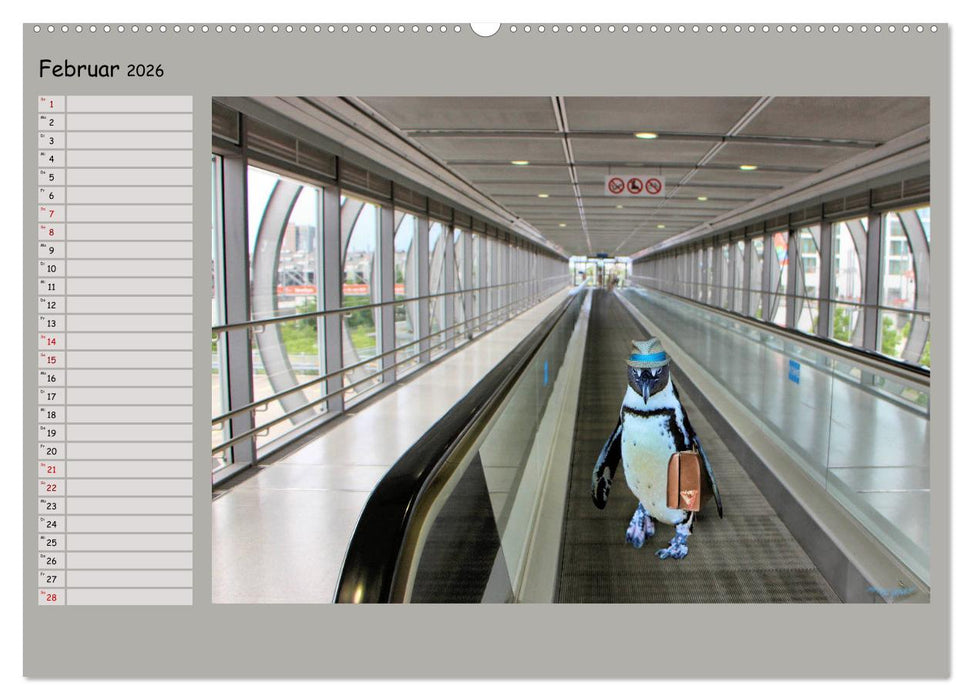 Pinguine privat Planer (CALVENDO Premium Wandkalender 2026)