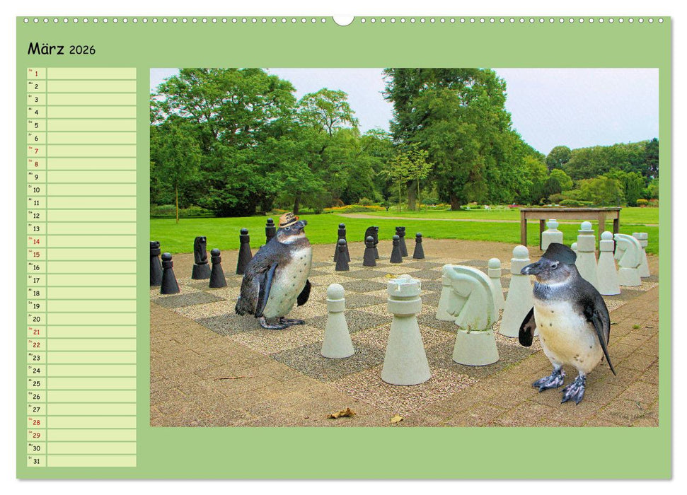 Pinguine privat Planer (CALVENDO Premium Wandkalender 2026)