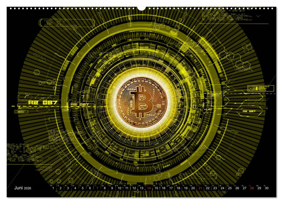 Bitcoins (CALVENDO Premium Wandkalender 2026)