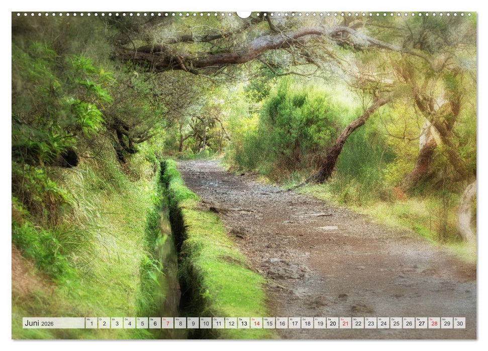 Madeira - eine Rundreise (CALVENDO Premium Wandkalender 2026)