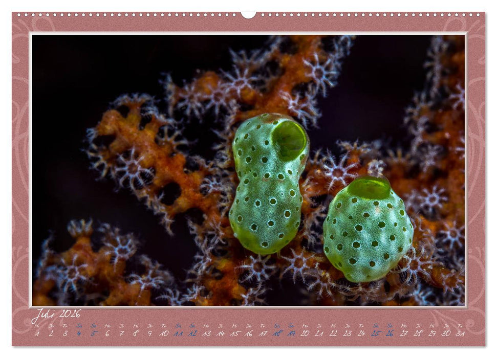 Unterwasser Kunstwerke (CALVENDO Premium Wandkalender 2026)