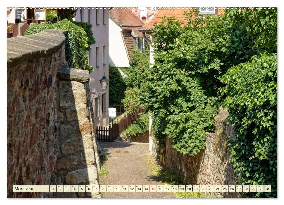 Bezauberndes Meißen (CALVENDO Premium Wandkalender 2026)