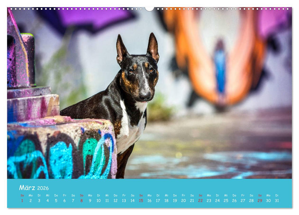 Hunde und Graffiti (CALVENDO Premium Wandkalender 2026)