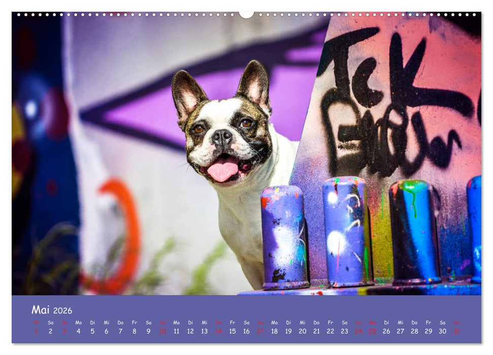 Hunde und Graffiti (CALVENDO Premium Wandkalender 2026)