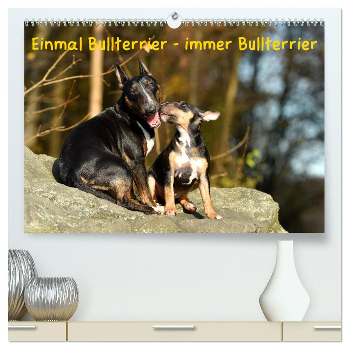 Einmal Bullterrier - immer Bullterrier (CALVENDO Premium Wandkalender 2026)