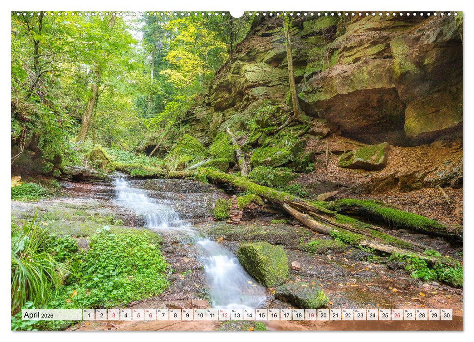 Romantisches Neckartal (CALVENDO Premium Wandkalender 2026)