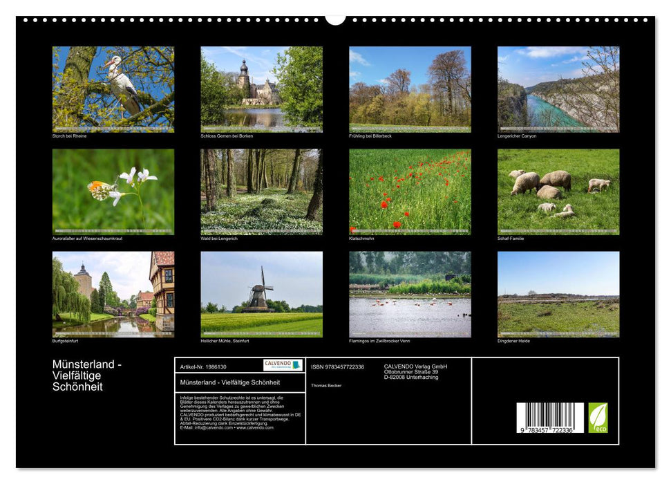 Münsterland - Vielfältige Schönheit (CALVENDO Premium Wandkalender 2026)