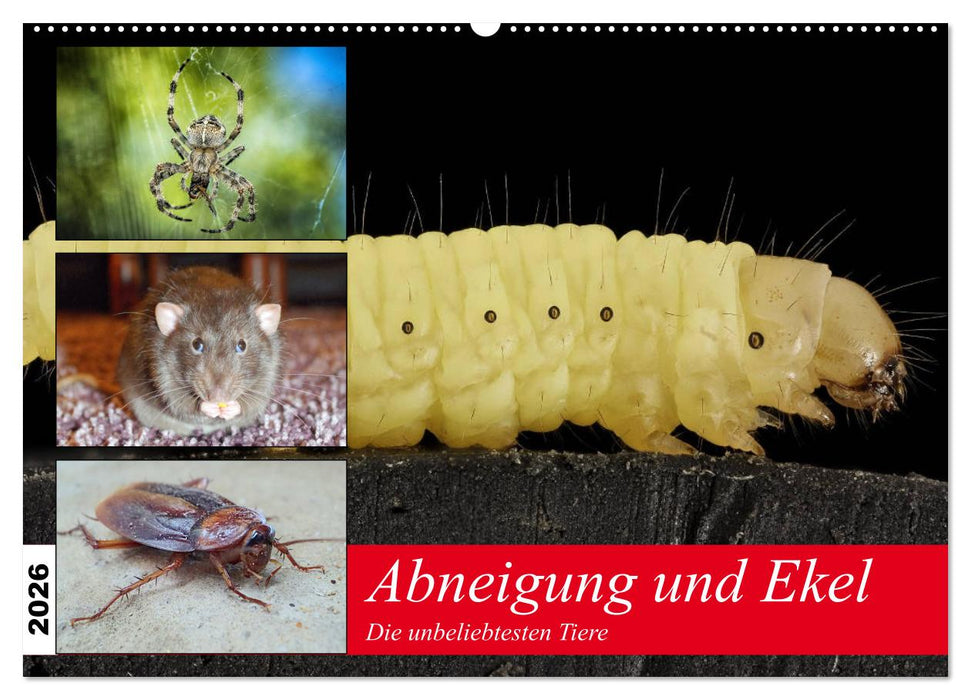 Abneigung und Ekel. Die unbeliebtesten Tiere (CALVENDO Wandkalender 2026)