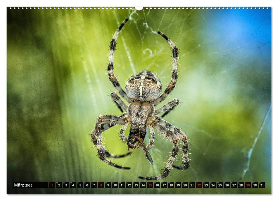 Abneigung und Ekel. Die unbeliebtesten Tiere (CALVENDO Wandkalender 2026)